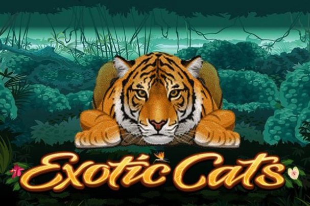Exotic Cats