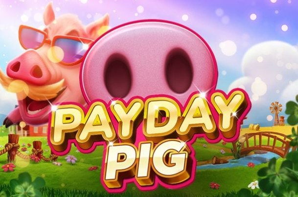 Payday Pig