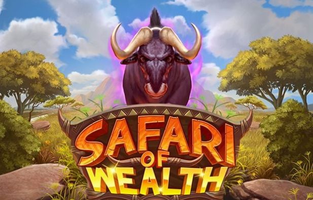 Safari of Wealth
