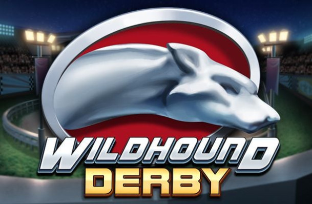 Wildhound Derby